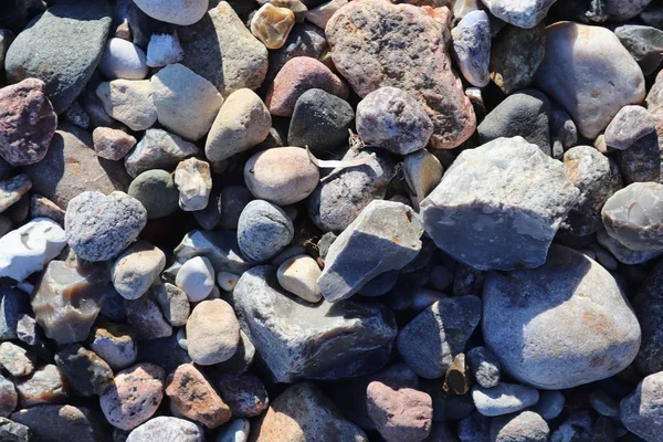 Hermosos Guijarros Piedra Playa Del Mar Báltico Norte Alemania — Foto de Stock