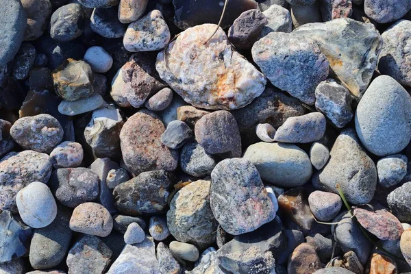 Hermosos Guijarros Piedra Playa Del Mar Báltico Norte Alemania — Foto de Stock