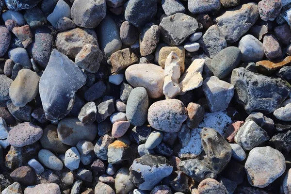 Hermosos Guijarros Piedra Playa Del Mar Báltico Norte Alemania — Foto de Stock