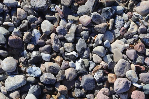 Pebbles Pedra Beuatiful Praia Mar Baltic Norte Alemanha — Fotografia de Stock