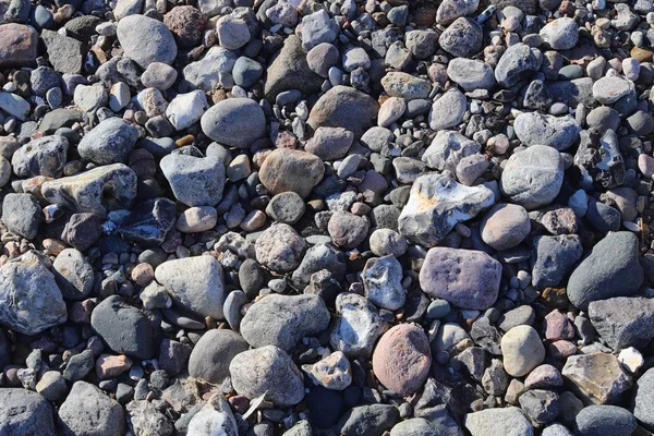 Beuatiful Stone Pebbles Beach Baltic Sea North Germany — Stock Photo, Image