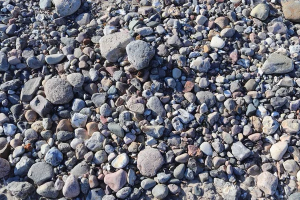 Pebbles Pedra Beuatiful Praia Mar Baltic Norte Alemanha — Fotografia de Stock