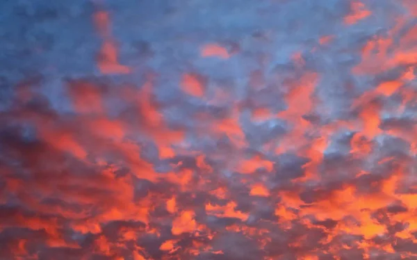Impressionante Céu Profundo Vermelho Laranja Por Sol Tomado Norte Alemanha — Fotografia de Stock