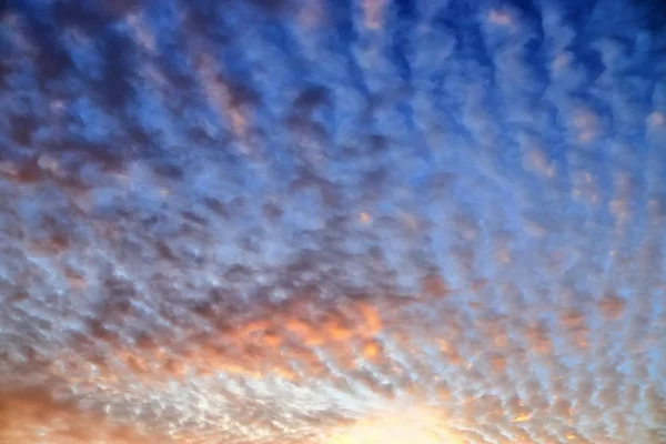 Atemberaubender Tiefroter Und Orangefarbener Sonnenuntergang Norddeutschland — Stockfoto