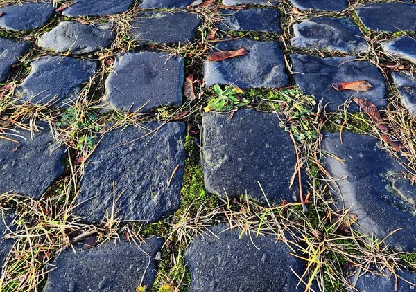 北ドイツの街で撮影した玉石地盤サーフェスに異なる視点のビューをクローズ アップ — ストック写真