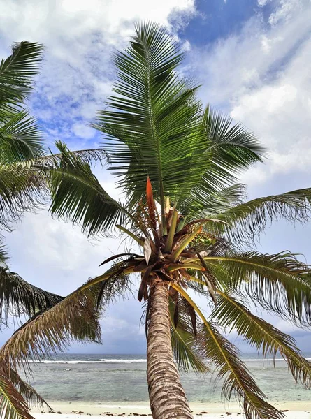 Superbe Panorama Plage Haute Résolution Pris Sur Les Îles Paradisiaques — Photo