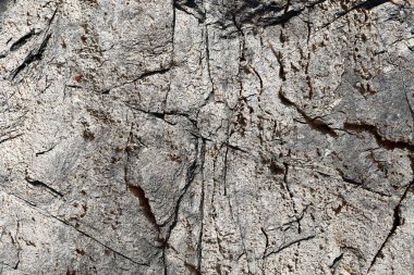 Yakın yüksek çözünürlükte granit ve beton duvar yüzeyine kadar ayrıntılı