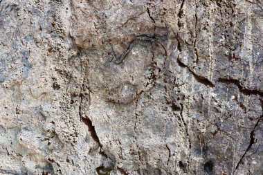 Yakın yüksek çözünürlükte granit ve beton duvar yüzeyine kadar ayrıntılı
