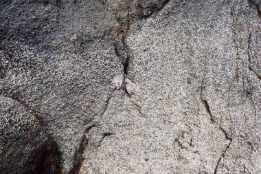 Yakın yüksek çözünürlükte granit ve beton duvar yüzeyine kadar ayrıntılı