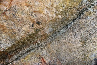 Yakın yüksek çözünürlükte granit ve beton duvar yüzeyine kadar ayrıntılı