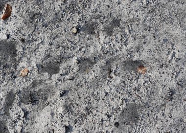 Kum yüksek çözünürlükte Baltık Denizi sahilinde yüzeyinin yakın çekim