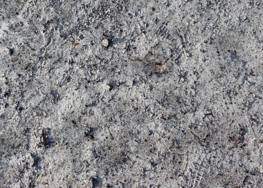 Kum yüksek çözünürlükte Baltık Denizi sahilinde yüzeyinin yakın çekim