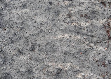 Kum yüksek çözünürlükte Baltık Denizi sahilinde yüzeyinin yakın çekim