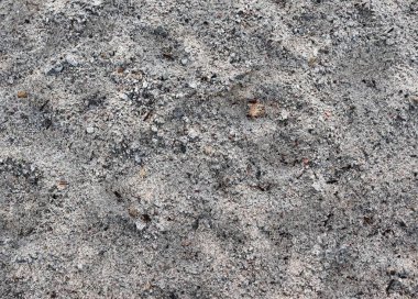 Kum yüksek çözünürlükte Baltık Denizi sahilinde yüzeyinin yakın çekim