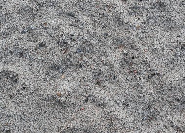 Kum yüksek çözünürlükte Baltık Denizi sahilinde yüzeyinin yakın çekim