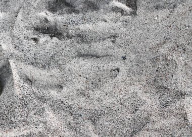 Kum yüksek çözünürlükte Baltık Denizi sahilinde yüzeyinin yakın çekim