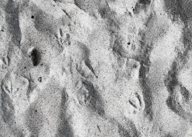 Kum yüksek çözünürlükte Baltık Denizi sahilinde yüzeyinin yakın çekim