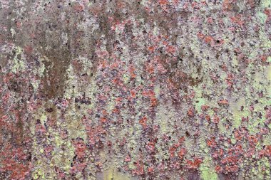 Eski paslı yüzey kapatmak ve yüksek çözünürlüklü metal duvar yapıları yıpranmış