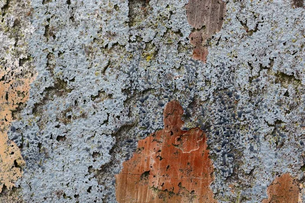 Közelről Részletes Felülete Viharvert Festék Különböző Falak Nagy Felbontásban — Stock Fotó