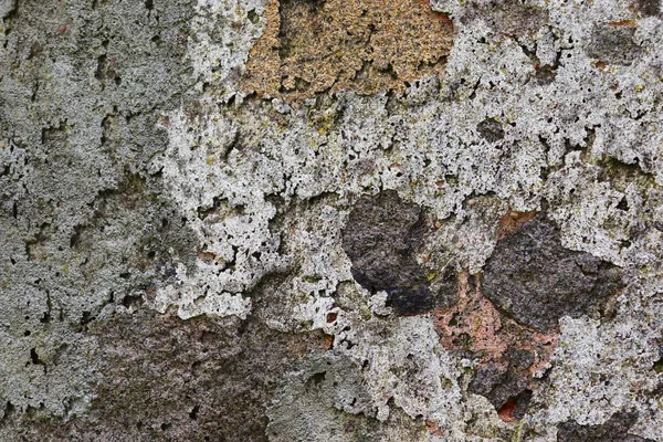 Detaylı Yıpranmış Boya Yüzeyde Yüksek Çözünürlükte Farklı Duvarlar Kadar Kapatın — Stok fotoğraf