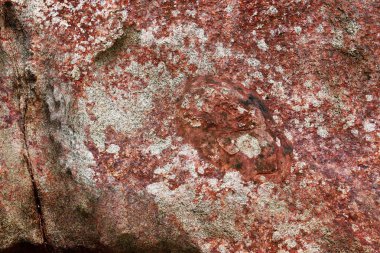 Yakın granit ve beton duvarlar ve zemin yüzeyi kadar ayrıntılı