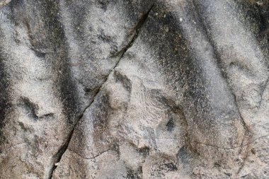 Yakın granit ve beton duvarlar ve zemin yüzeyi kadar ayrıntılı