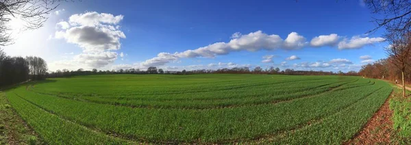 Oszałamiająca Panorama Wysokiej Rozdzielczości Krajobrazów Północnych Niemczech Słoneczny Wiosenny Dzień — Zdjęcie stockowe
