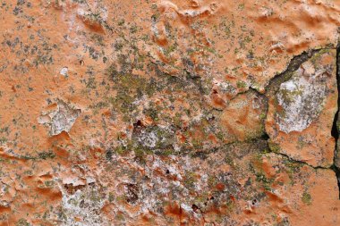 Yüksek çözünürlüklü yüzeyinde yaşlı ve yıpranmış boya duvarlar Almanya'da kapatın