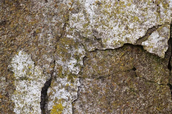 Yüksek Çözünürlüklü Yüzeyinde Yaşlı Yıpranmış Boya Duvarlar Almanya Kapatın — Stok fotoğraf