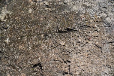 Kum taş ve beton duvarlar Dubai'de görülen yüksek çözünürlüklü doku