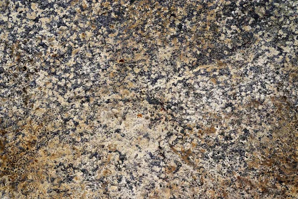 Kum taş ve beton duvarlar Dubai'de görülen yüksek çözünürlüklü doku