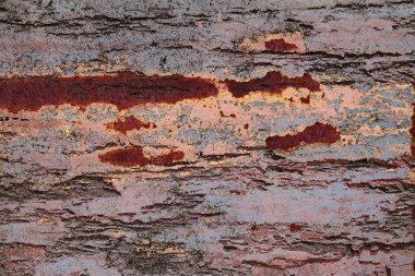 Yüksek çözünürlükte paslı ve beton duvar yüzeyine kadar kapatın