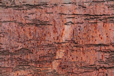 Yüksek çözünürlükte paslı ve beton duvar yüzeyine kadar kapatın