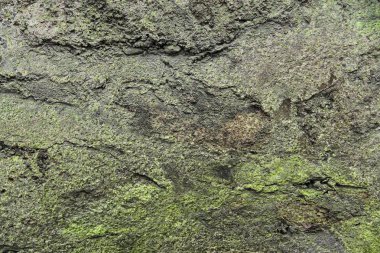 Avrupa'da bulunan farklı duvarlar, pas ve granit malzemelerin detaylı yüzey yukarıya kapatmak