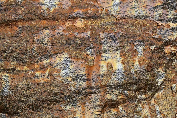 ヨーロッパは 別の壁で錆と花崗岩の材料の詳細な面を閉じる — ストック写真