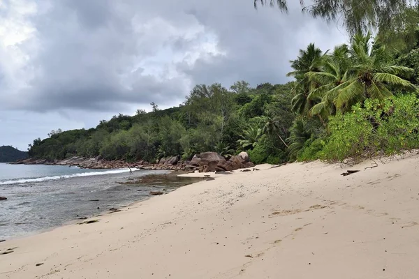 Praias Brancas Bonitas Nas Ilhas Paradisíacas Seychelles Fotografado Dia Ensolarado — Fotografia de Stock