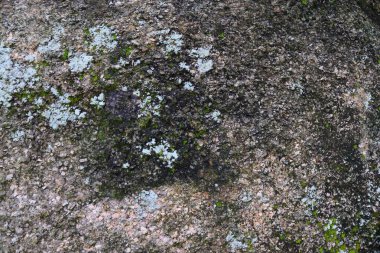 Küçük taşlar ve çatlaklar ile sokaklarda asfalt yüzey detaylı yakın