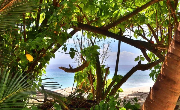Beautiful Impressions Tropical Landscape Seychelles Islands — Stock Photo, Image
