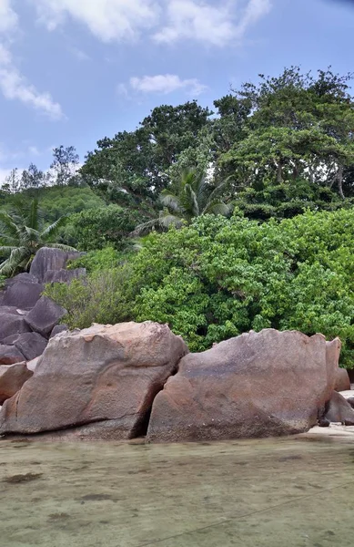 Belle Formazioni Rocciose Sulla Spiaggia Dell Isola Paradisiaca Seychelles — Foto Stock
