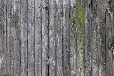 Yüksek detaylı çözünürlükte çarpıcı bir Patina ile güzel yıpranmış ve yaşlı ahşap yüzeyler