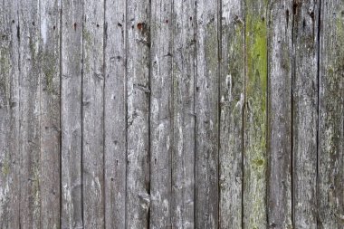 Yüksek detaylı çözünürlükte çarpıcı bir Patina ile güzel yıpranmış ve yaşlı ahşap yüzeyler