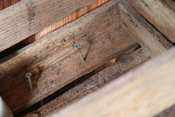 Yüksek detaylı çözünürlükte çarpıcı bir Patina ile güzel yıpranmış ve yaşlı ahşap yüzeyler