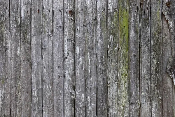 Yüksek detaylı çözünürlükte çarpıcı bir Patina ile güzel yıpranmış ve yaşlı ahşap yüzeyler