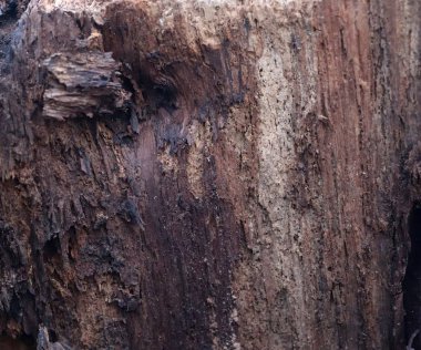 Yüksek detaylı çözünürlükte çarpıcı bir Patina ile güzel yıpranmış ve yaşlı ahşap yüzeyler