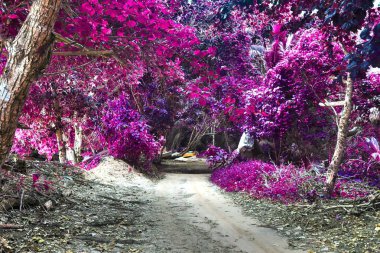 Fantasy infrared shots of purple landscapes on the Seychelles islands clipart