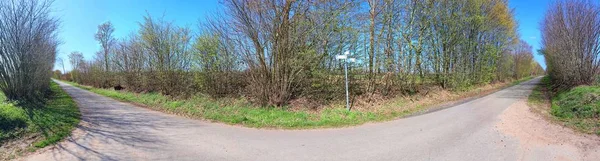 Prachtig Panorama Van Lente Landschappen Met Groen Gras Een Heldere — Stockfoto