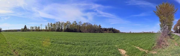 Pohled Panorama Vysokým Rozlišením Zelené Krajině Modrým Nebem Nalezenému Severním — Stock fotografie
