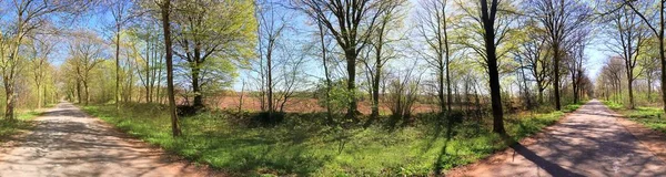 Pohled Panorama Vysokým Rozlišením Zelené Krajině Modrým Nebem Nalezenému Severním — Stock fotografie