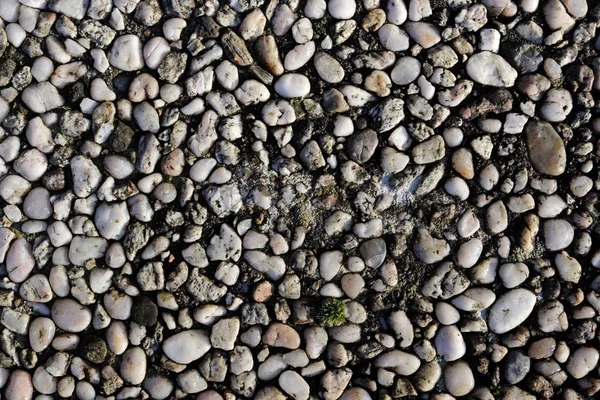 High Resolution Close Surface Texture Gravel Ground High Detail — Stock Photo, Image