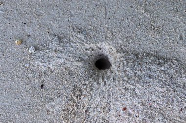 Ayak izleri ve su dalgaları ile Seyşeller cennet adada beyaz plajları güzel çekim